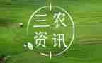 对三农工作的心得体会8篇