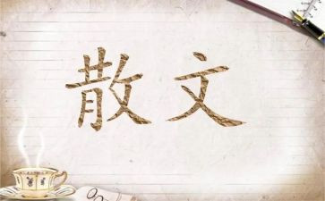 张晓风散文《遇》读后感6篇