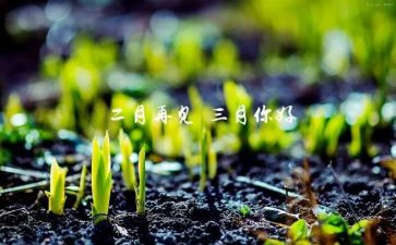 三月思想汇报8篇