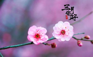 销售三月份工作计划5篇