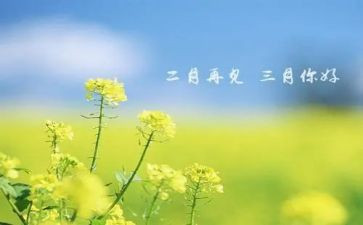 三月份幼儿园大班工作总结6篇