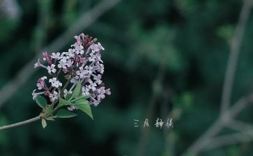 小班二三月工作计划5篇