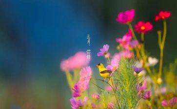 销售三月份工作总结8篇