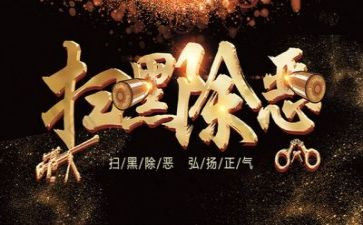 村扫黑除恶月总结5篇