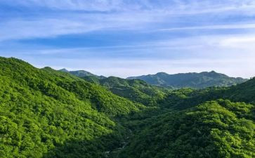 笑猫日记之绿狗山庄读后感5篇