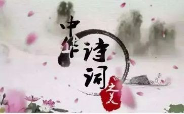 赏析性读后感7篇