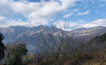 山中访友的读后感8篇