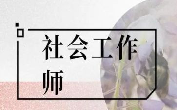 社工岗年度总结6篇