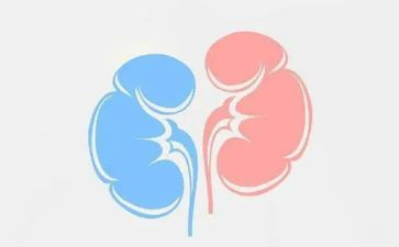 肾内科护理年度工作总结7篇