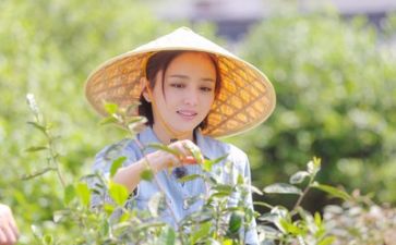 生活部述职报告范文5篇