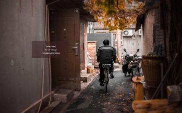 团生活个人总结5篇