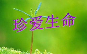生命的演讲稿300字8篇