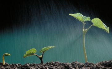 生命生命读后读后感参考6篇