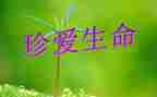 演讲生命的演讲稿精选5篇