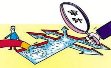 内部审计周工作计划参考8篇
