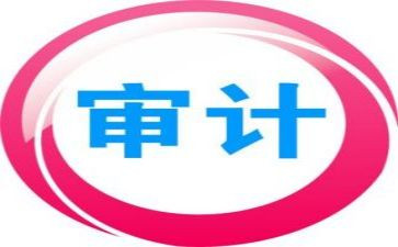学审计的心得体会6篇