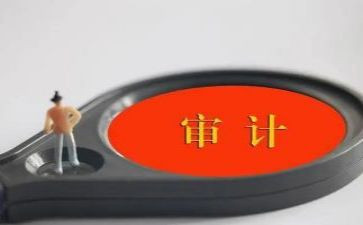 审计部个人总结工作总结8篇