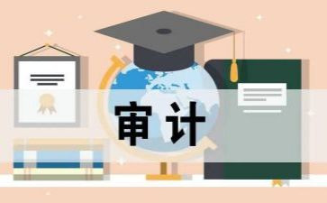 审计个人工作总结推荐8篇
