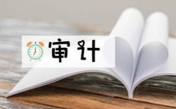 审计个人工作总结优秀5篇