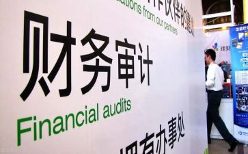 2024年审计干部述职报告8篇
