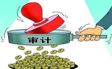 银行审计工作个人总结6篇