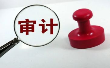 审计个人工作总结模板5篇