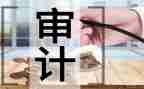审计2023个人总结优质6篇