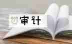 审计个人工作总结优秀5篇