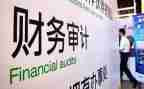 2024年审计干部述职报告8篇