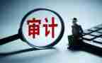 审计个人工作总结5篇