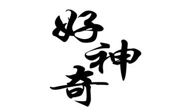 神奇的飞书的读后感7篇