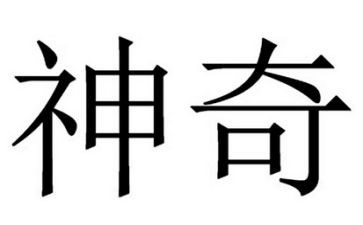 读神奇校车读后感6篇