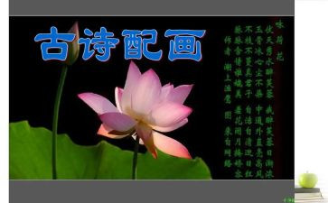 艾青诗选读后感读后感参考5篇