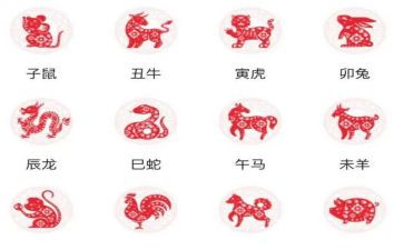 十二生肖幼儿教案5篇