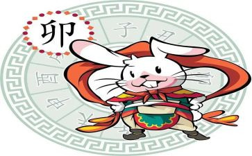 十二生肖中班教案8篇