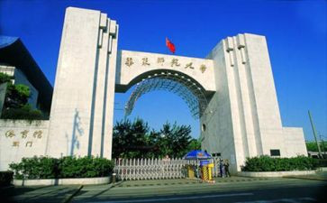 师范生教学心得体会6篇