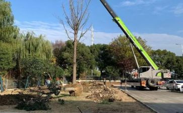 施工现场述职报告优质5篇