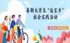 小学生实践的心得体会模板6篇