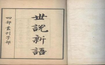 《世说新语》的读后感优质7篇