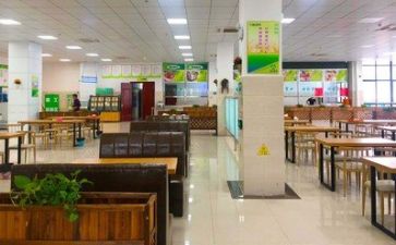 食堂工作年终总结模板8篇