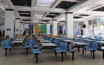 关于食堂的调查报告7篇