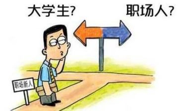 实习个人总结报告最新8篇