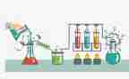 我做了一项小实验的作文7篇