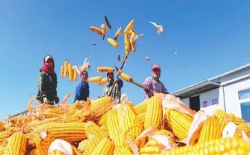 教师收获和心得体会范文8篇