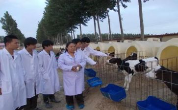 兽医站个人考核总结7篇