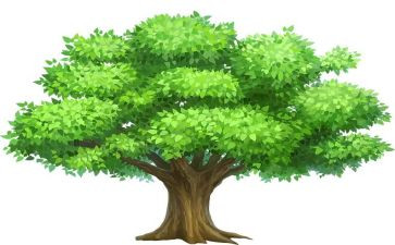 大班社会植树教案5篇