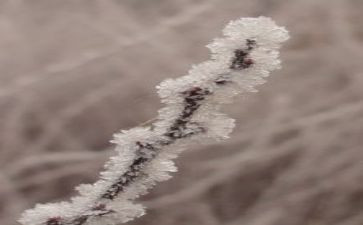 科学露和霜教案优秀5篇
