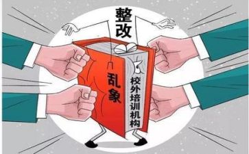 对双减的心得参考8篇
