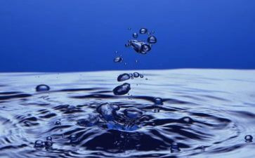 读《水》的读后感通用8篇