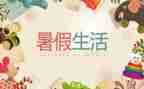 暑假实践活动总结通用7篇